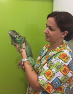 Ruth María Burguener Rodríguez, directora veterinaria de WECAN Que Fauna