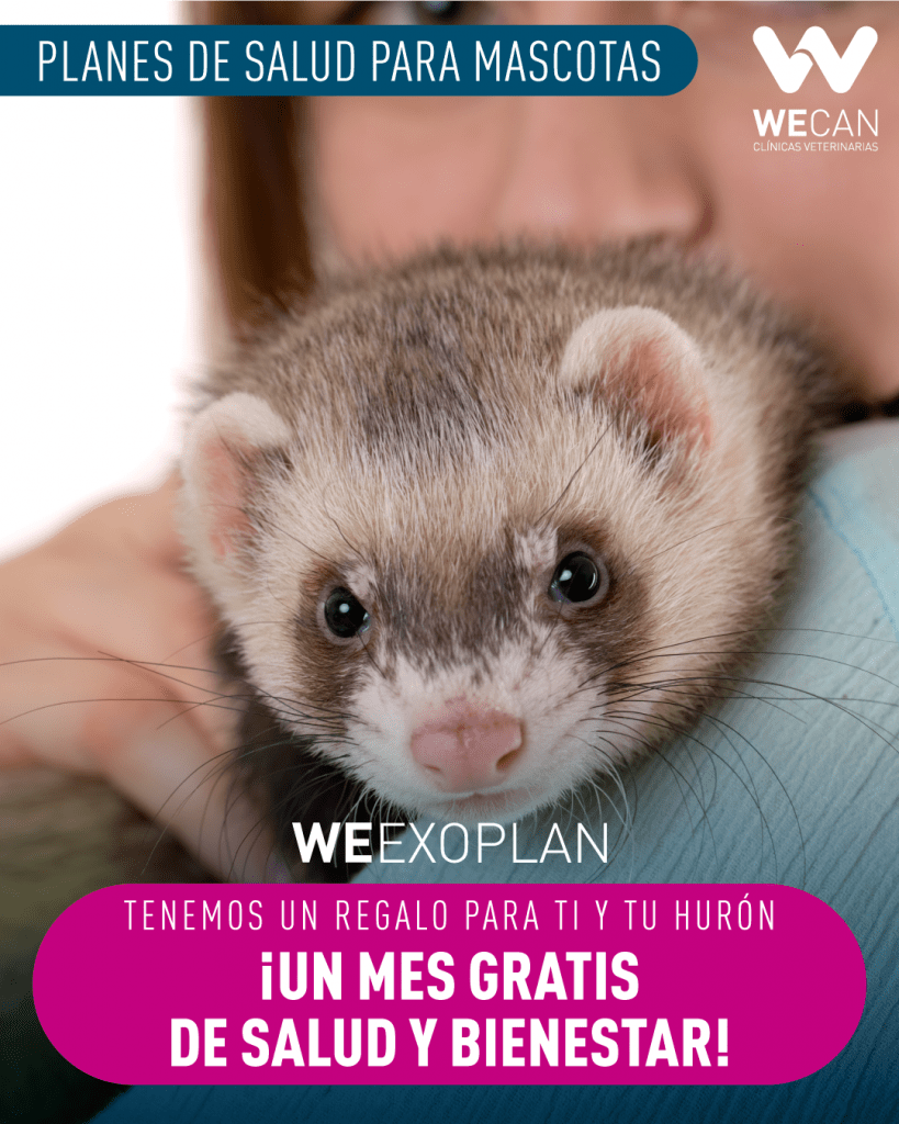 Plan de Salud