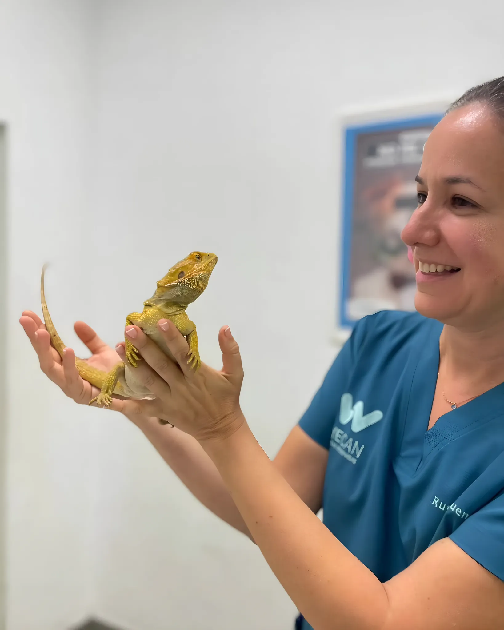 Veterinaria de WECAN Que Fauna con un animal exótico
